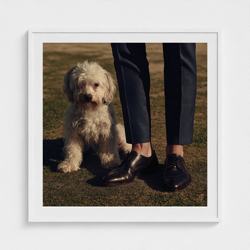Fluffy Dog and Polished Shoes in Quiet Companionship