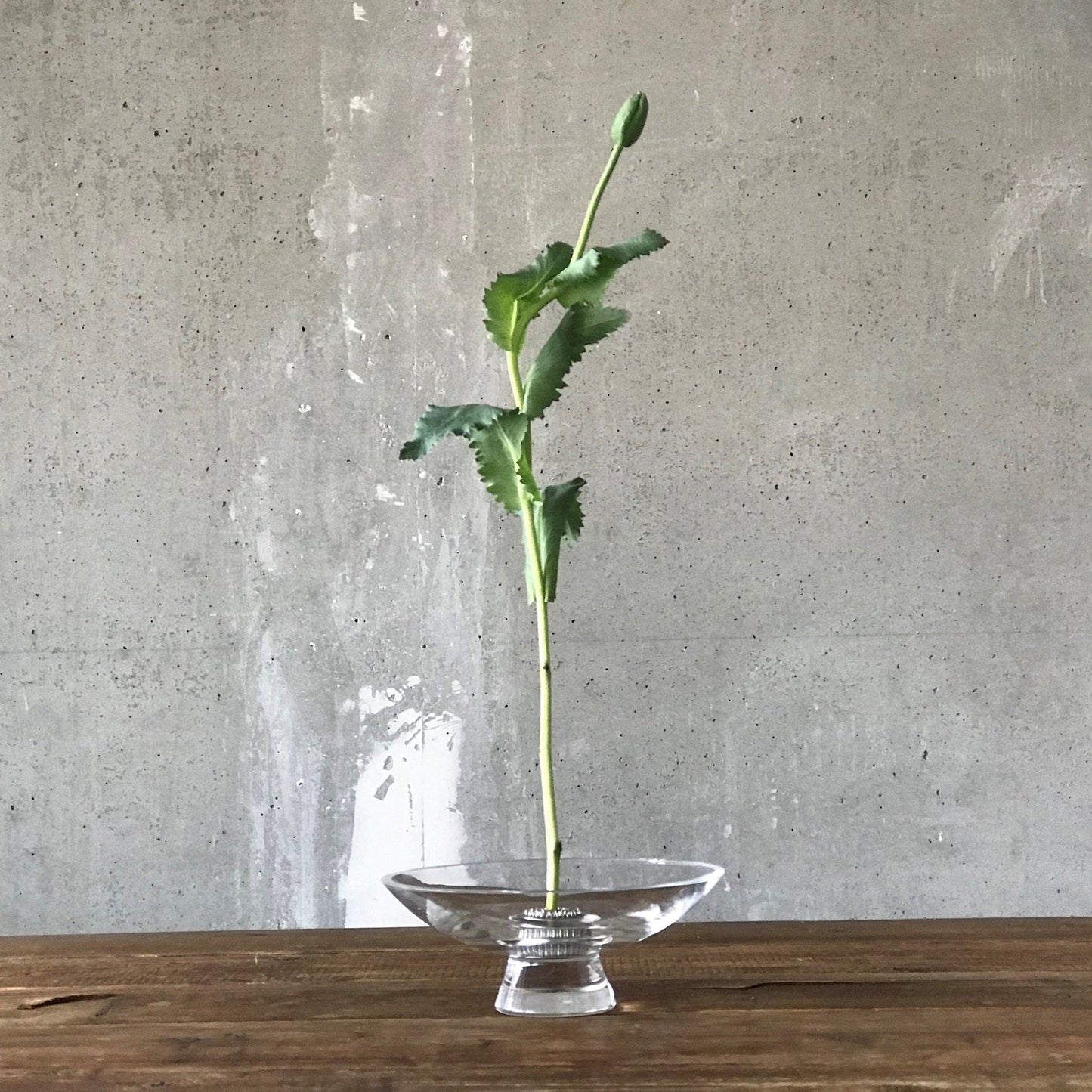 Lifestyle view of Silhouette Bowl Large Barware | Provenance & Patina