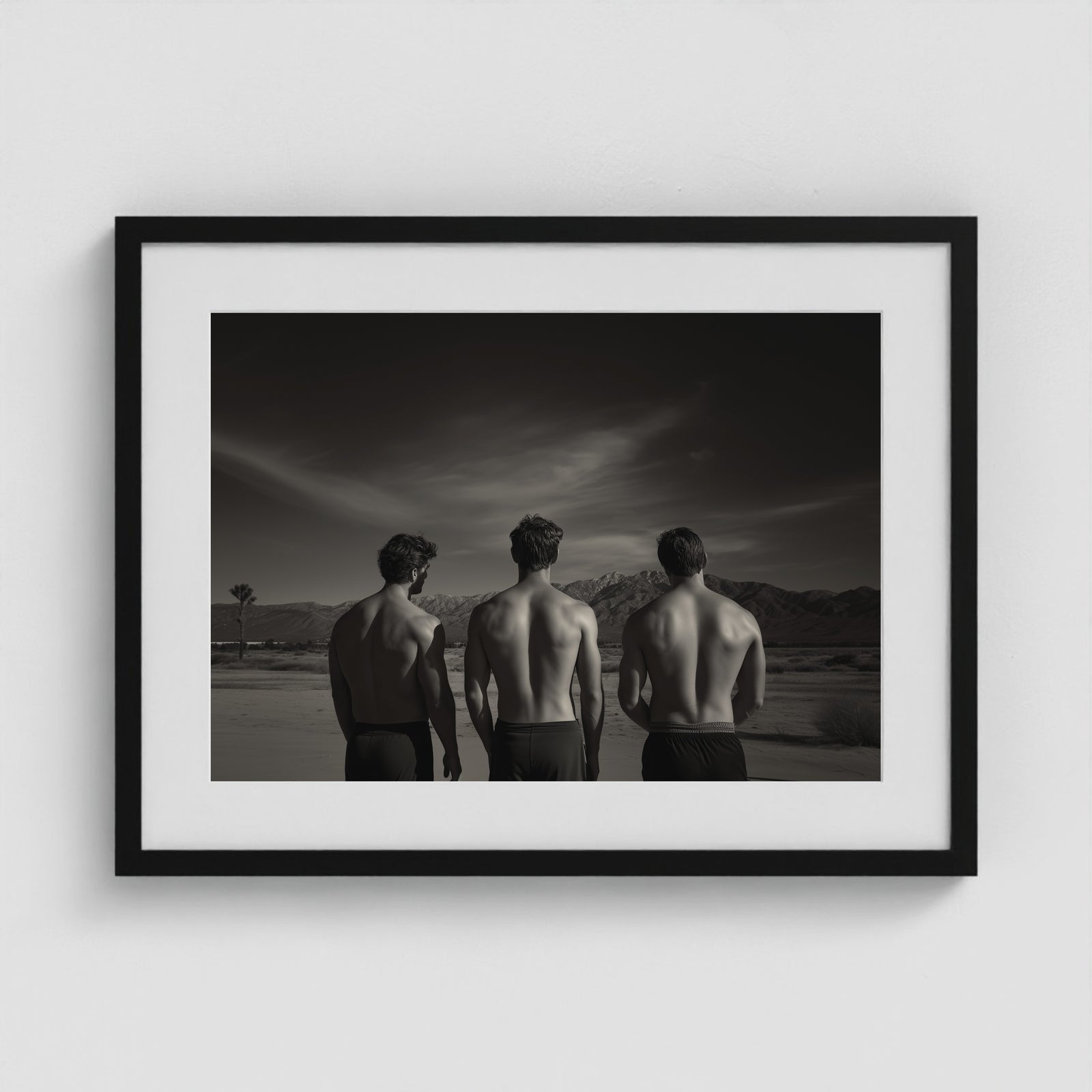 Desert Trio 24x18 Black Landscape Box Frame