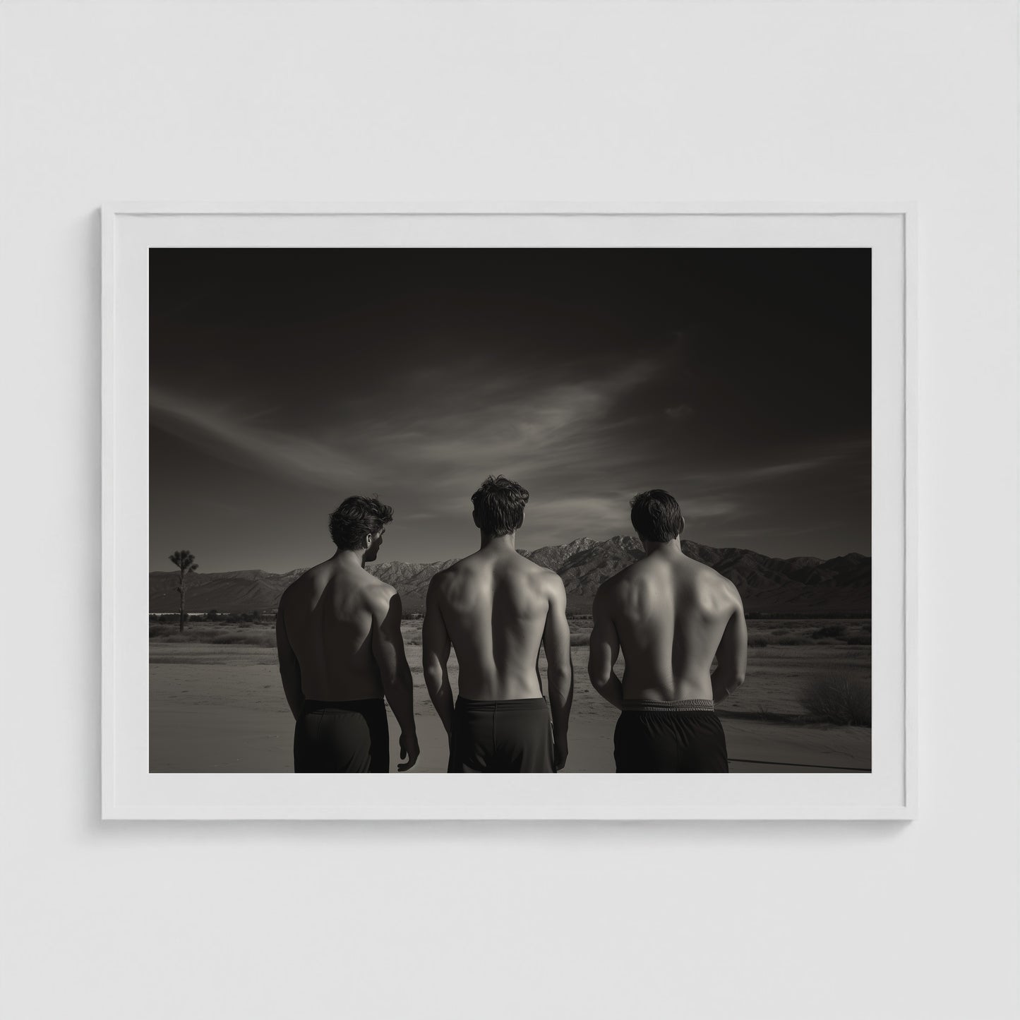 Desert Trio 48x36 White Landscape Box Frame