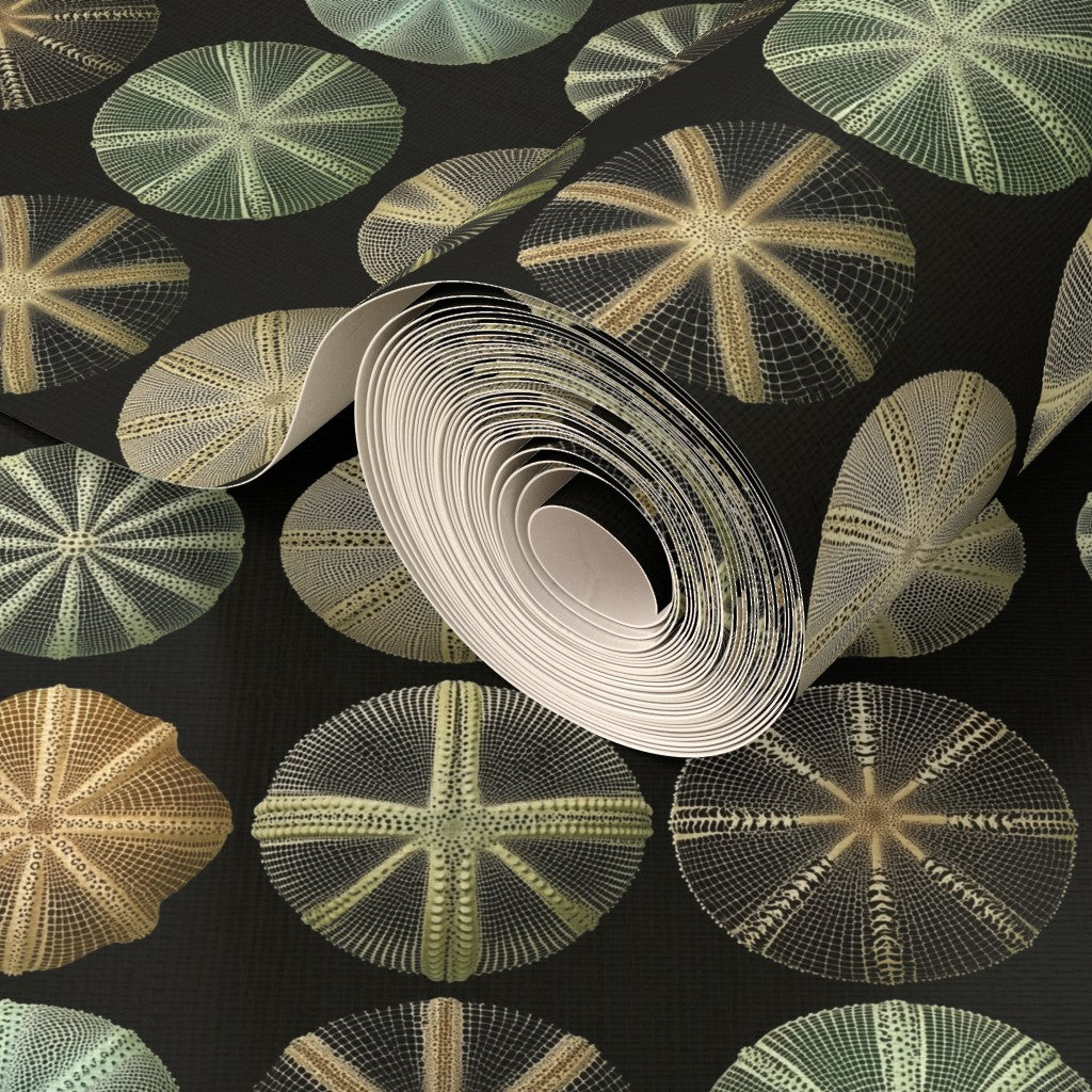 Detailed texture of the Sea Urchin Study design on luxury grass cloth backing.