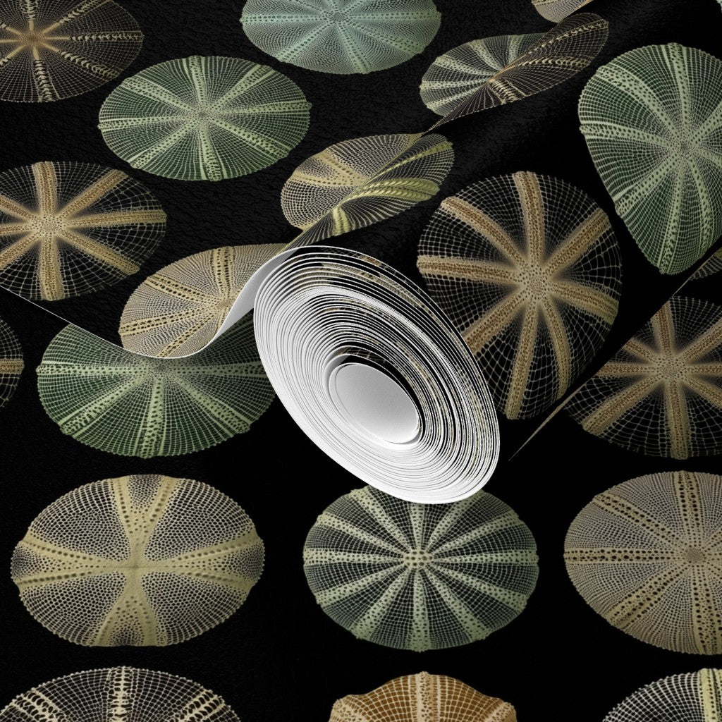 Detailed view of the radial sea urchin design on premium non-pasted paper.