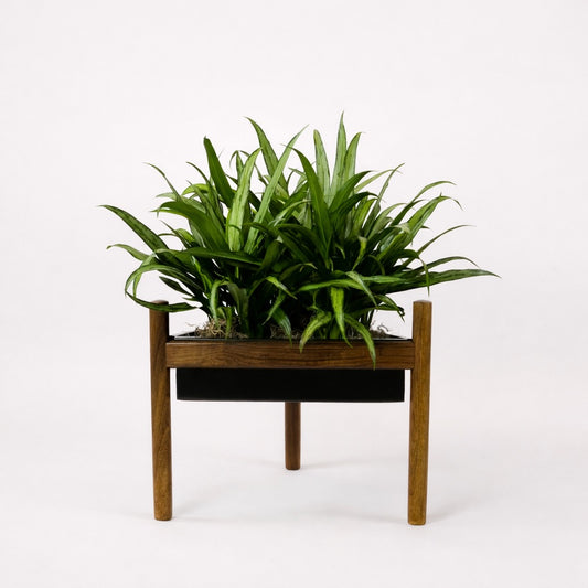 Midcentury Modern Triangular Walnut Planter