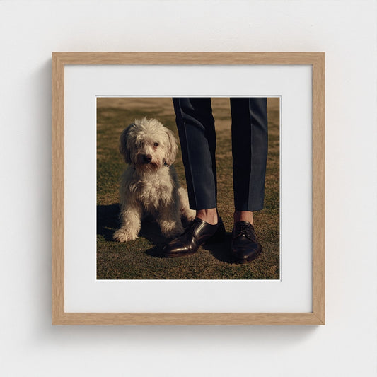 Fluffy Dog and Polished Shoes in Quiet Companionship