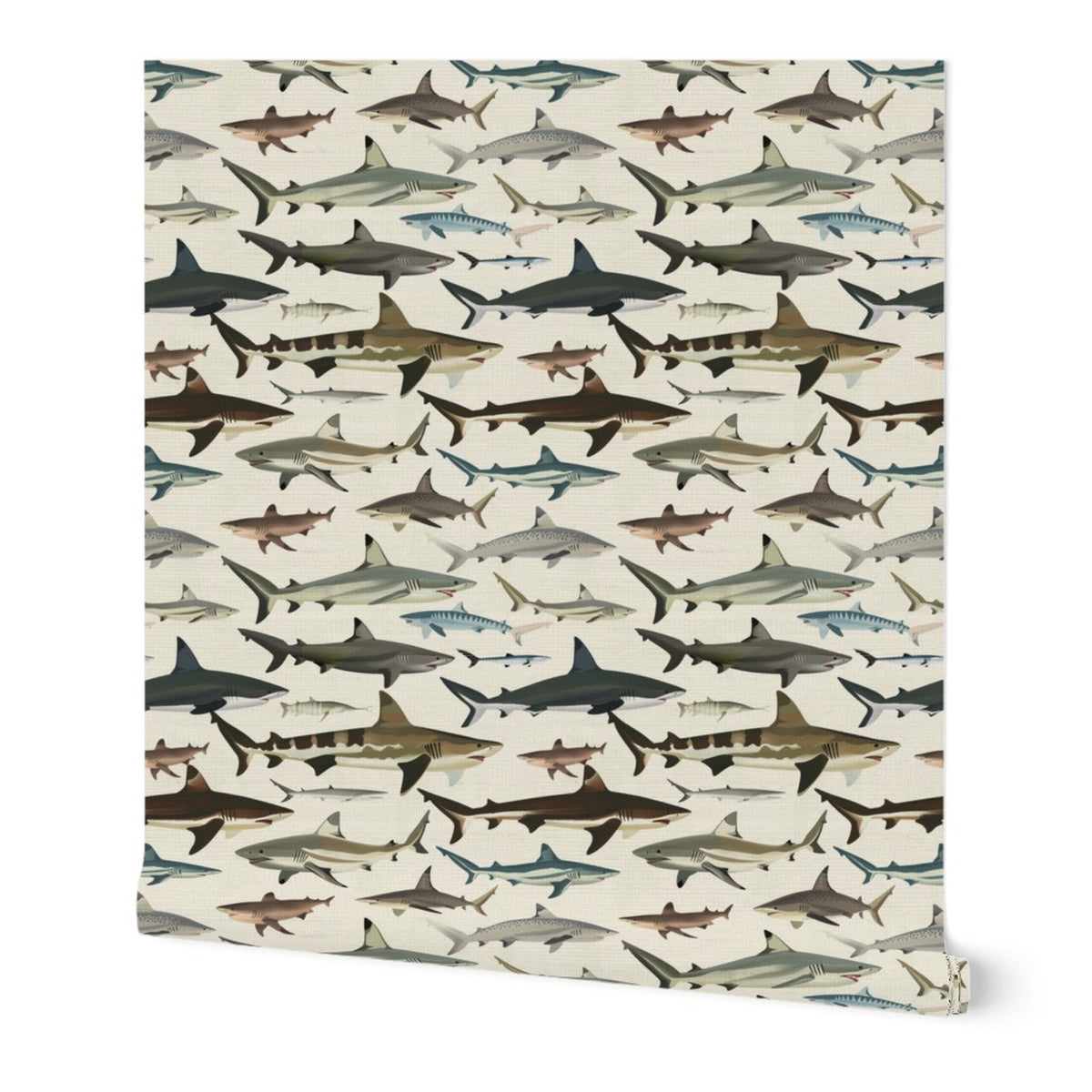 Sea of Sharks - Deep Blue — 01 Hero Roll