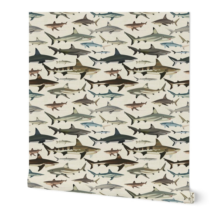 Sea of Sharks - Deep Blue — 01 Hero Roll