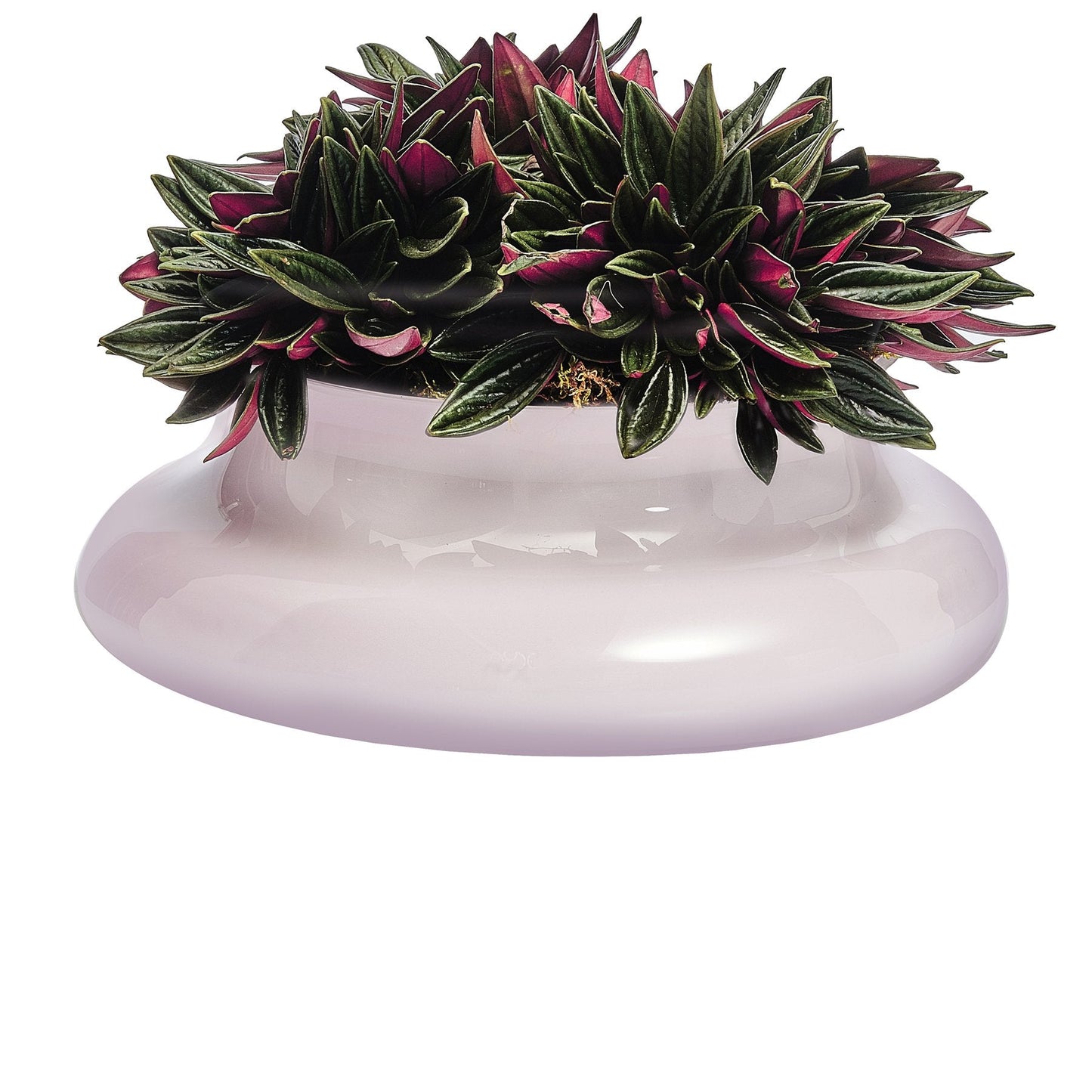 Alternate view of Kurage Vase Barware | Provenance & Patina
