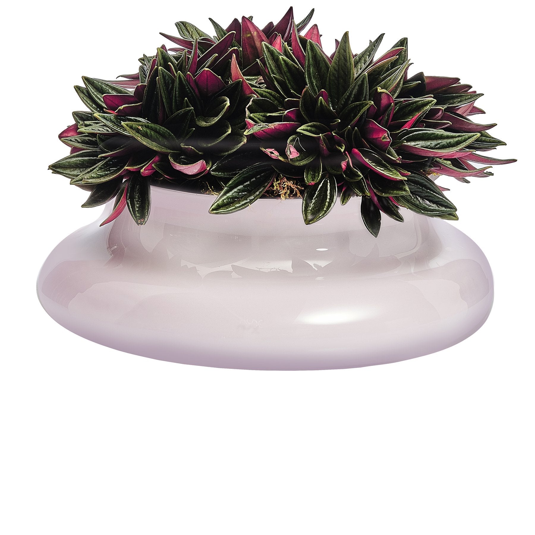 Alternate view of Kurage Vase Barware | Provenance & Patina