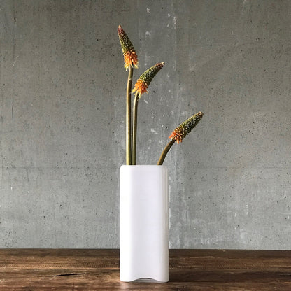 Modern glass vase styled with a sculptural Kniphofia Uvaria stem.