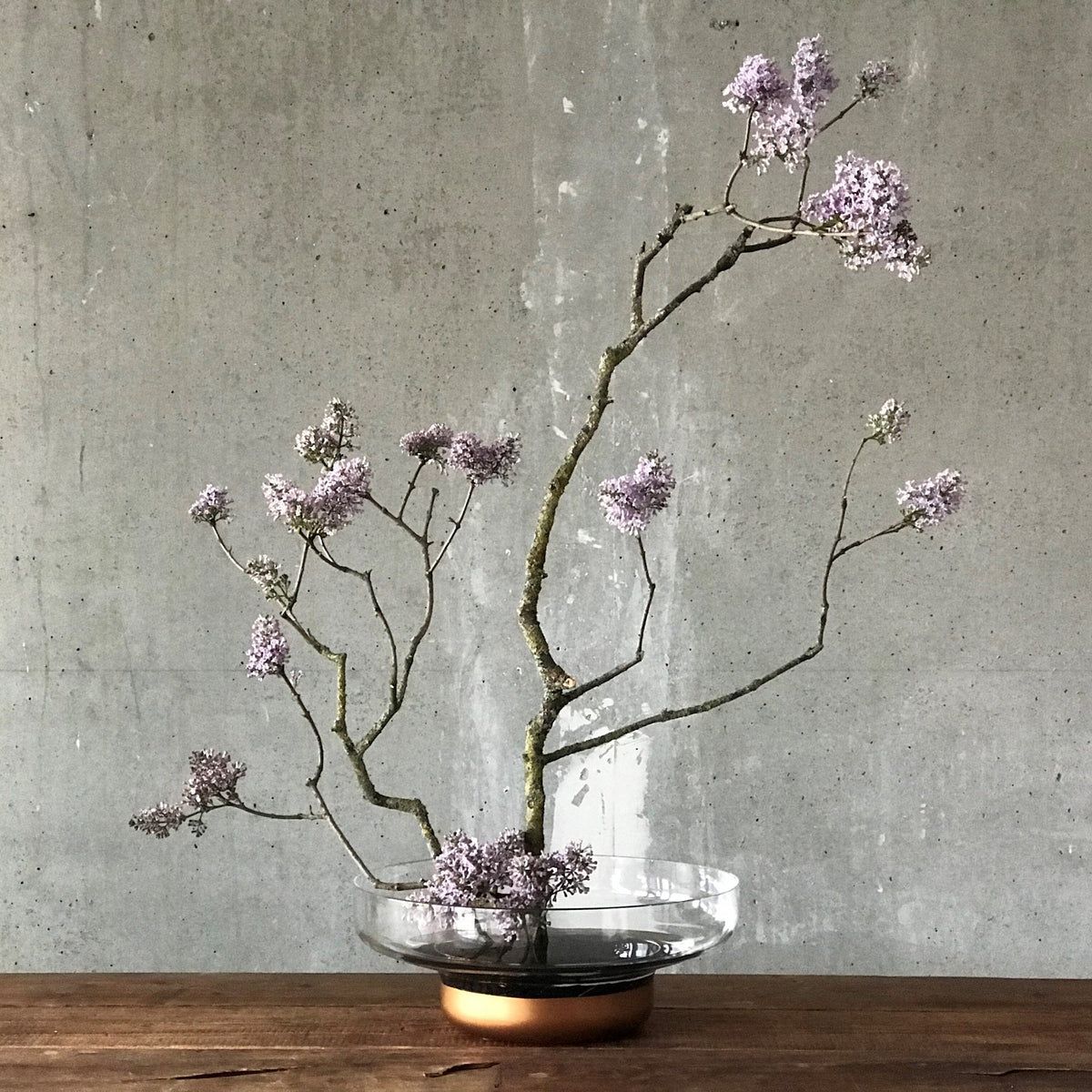 Modern minimalist copper glass bowl containing textured dried botanicals.