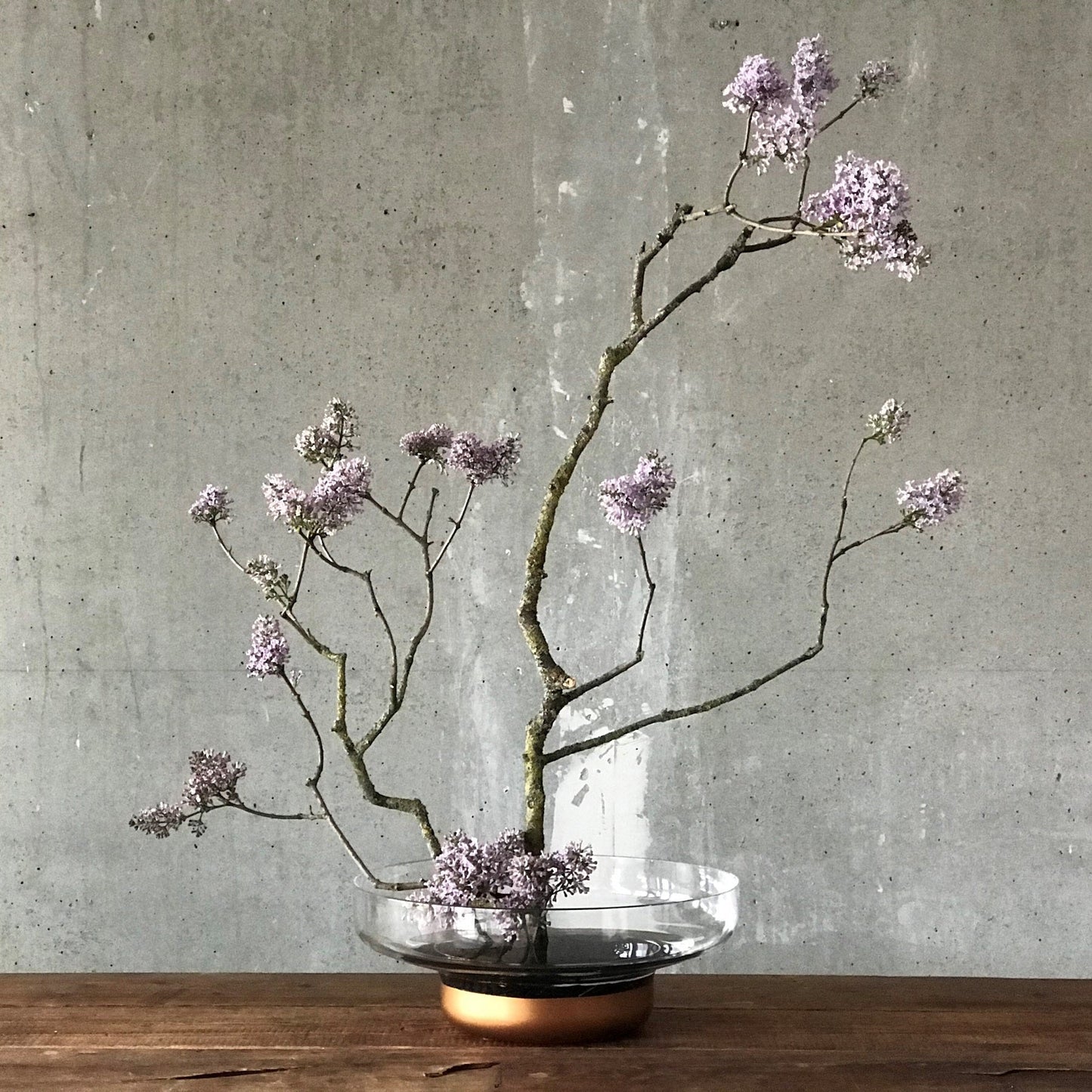 Modern minimalist copper glass bowl containing textured dried botanicals.