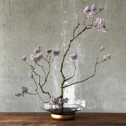 Modern minimalist copper glass bowl containing textured dried botanicals.