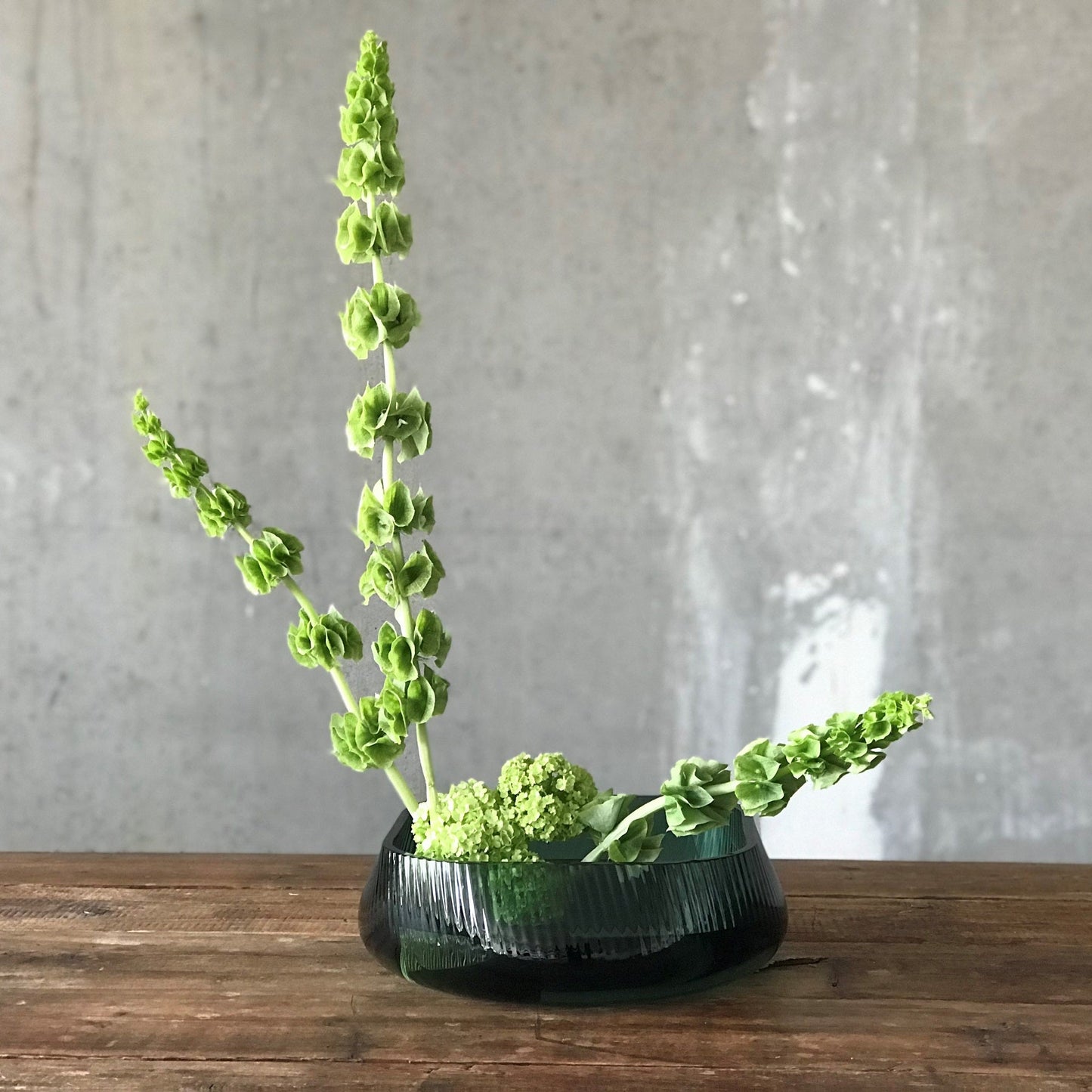 NUDE Glass Opti centerpiece bowl filled with elegant green florals including molucella laevis and viburnum