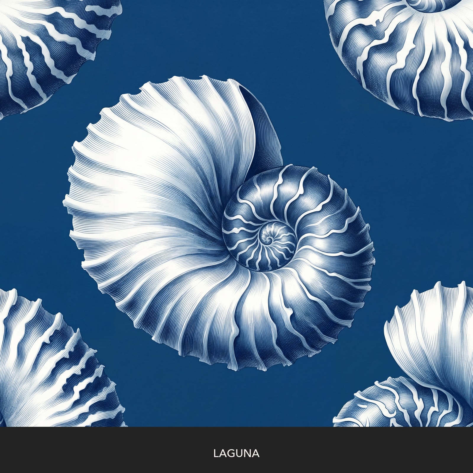 Shell Study - Laguna — 32 Colorway Strips