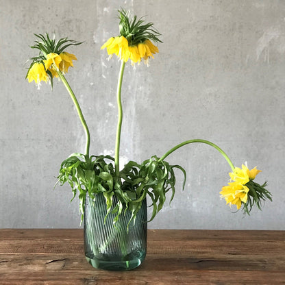 Tall ribbed crystal vase holding vibrant yellow fritillaria flowers, creating a sophisticated tabletop display.