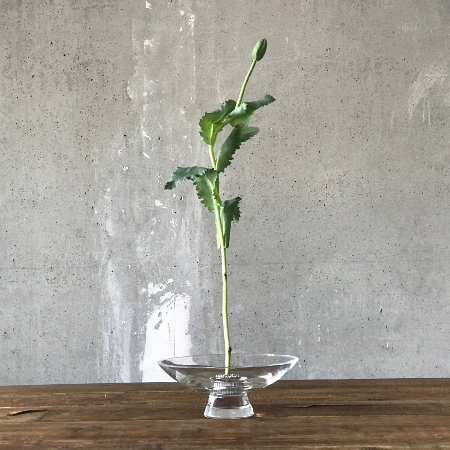 Lifestyle view of Silhouette Bowl Large Barware | Provenance & Patina