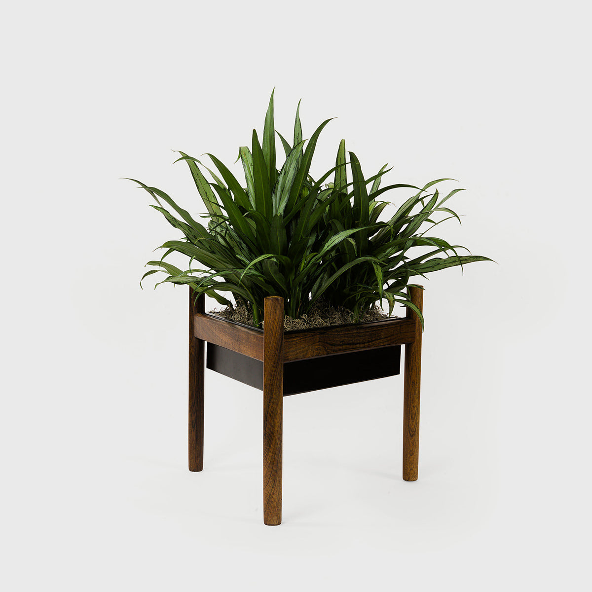 Product shot of Midcentury Modern Triangular Walnut Pla – Masculine Fine Art - Luxury Accessories | Provenance & Patina