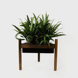 Close up detail of Midcentury Modern Triangular Walnut Pla – Masculine Fine Art - Luxury Accessories | Provenance & Patina