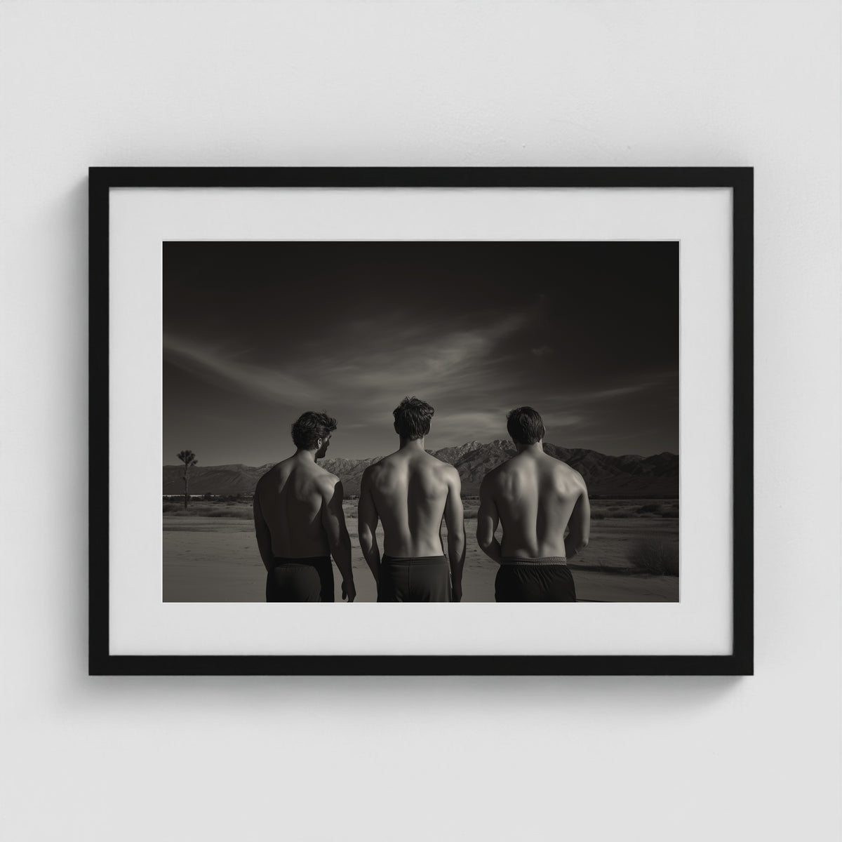Desert Trio 24x18 Black Landscape Box Frame