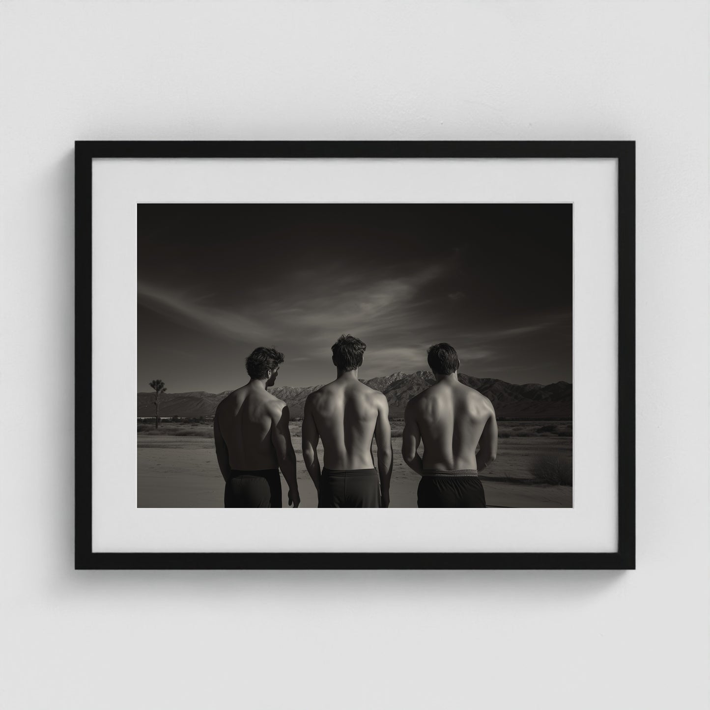 Desert Trio 24x18 Black Landscape Box Frame