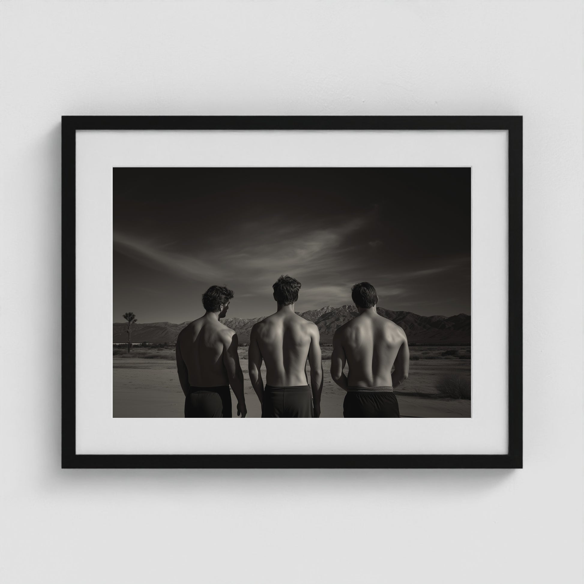 Desert Trio 24x18 Black Landscape Box Frame