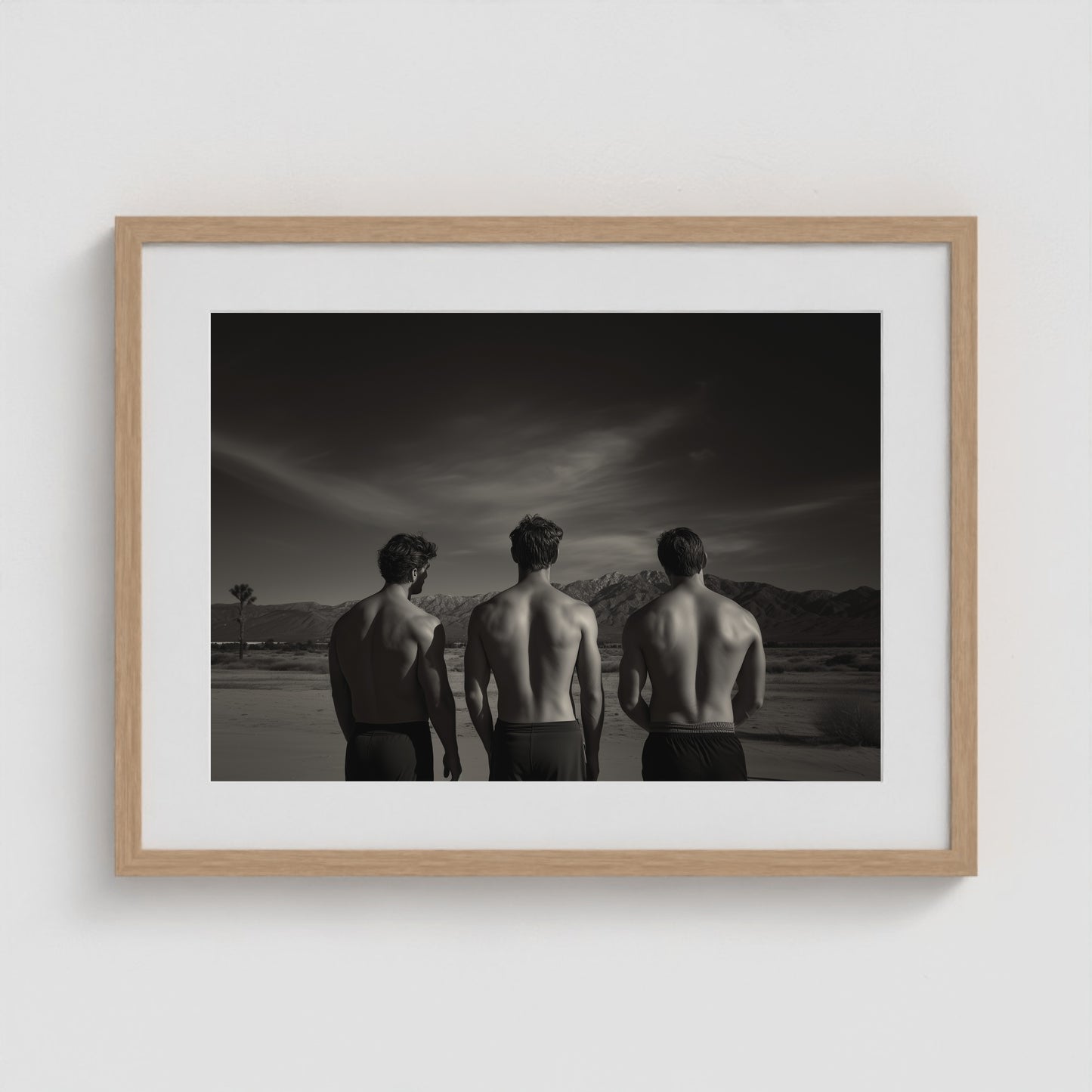 Desert Trio 24x18 Natural Landscape Box Frame