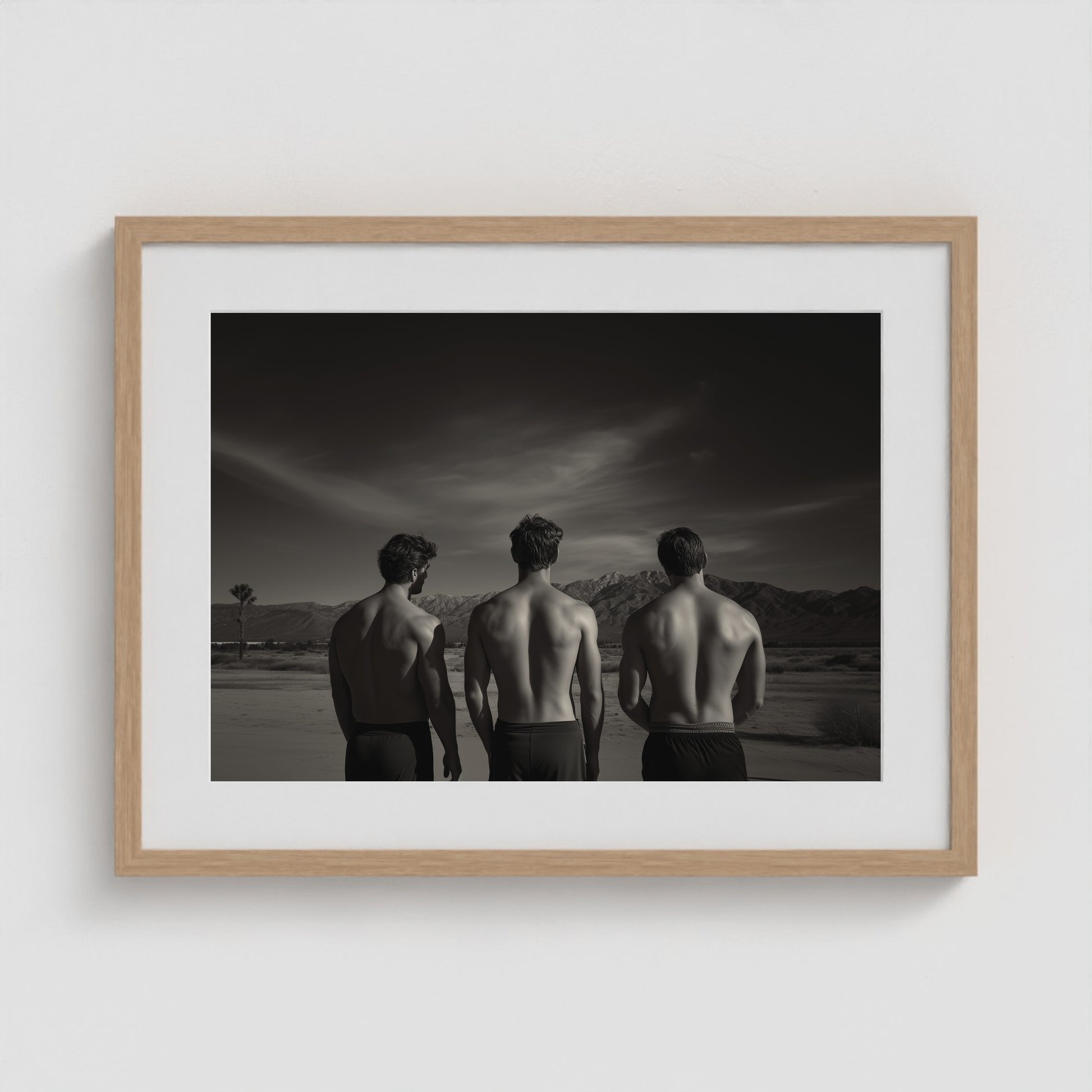 Desert Trio 24x18 Natural Landscape Box Frame