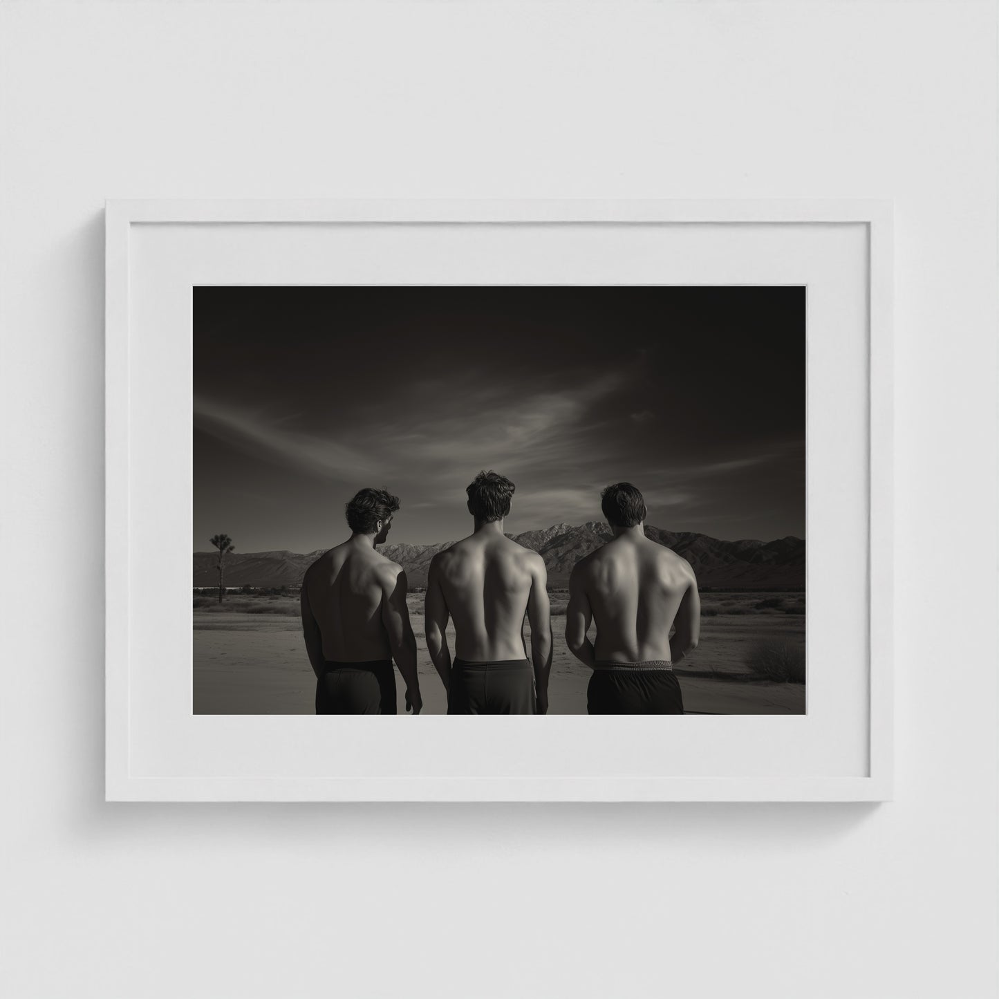 Desert Trio 24x18 White Landscape Box Frame