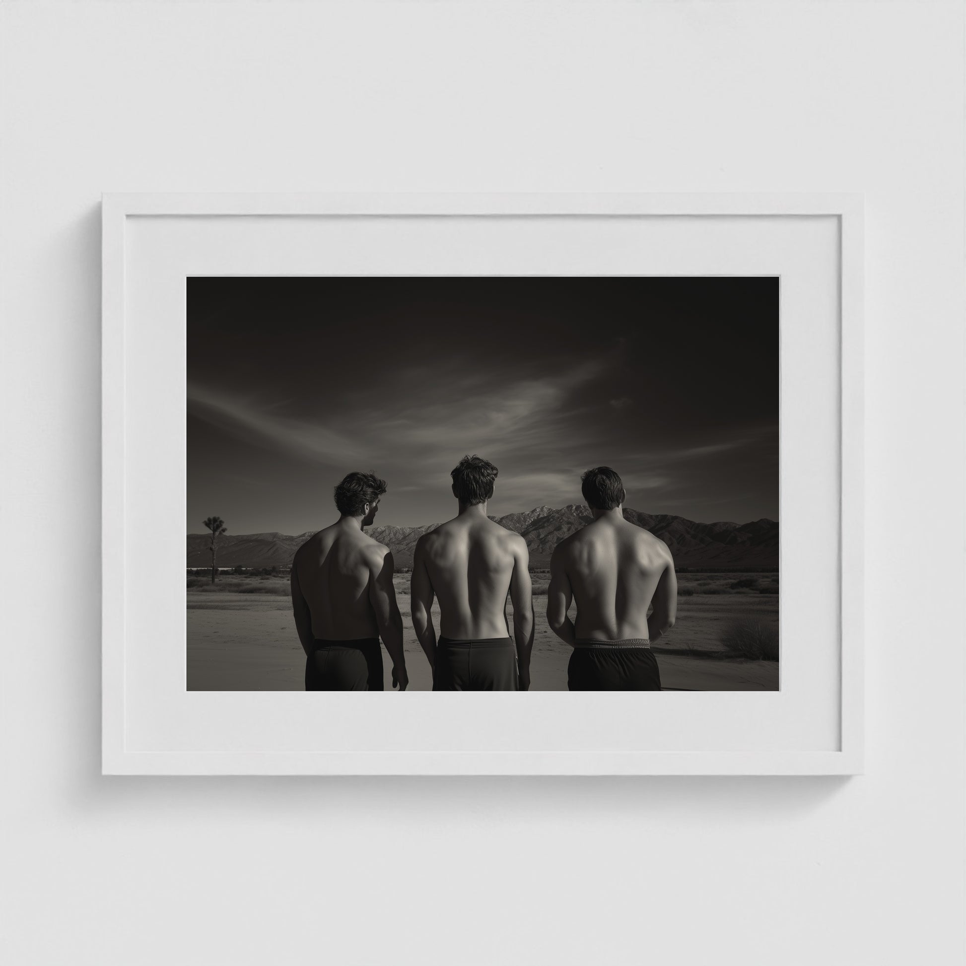 Desert Trio 24x18 White Landscape Box Frame