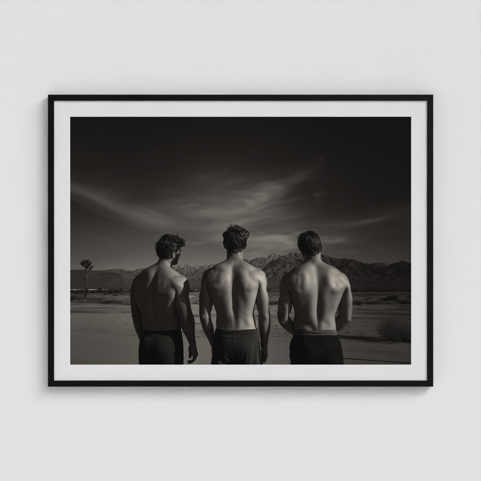 Desert Trio 48x36 Black Landscape Box Frame