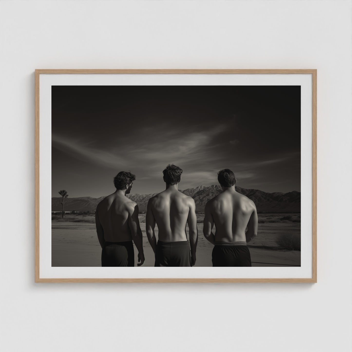 Desert Trio 48x36 Natural Landscape Box Frame