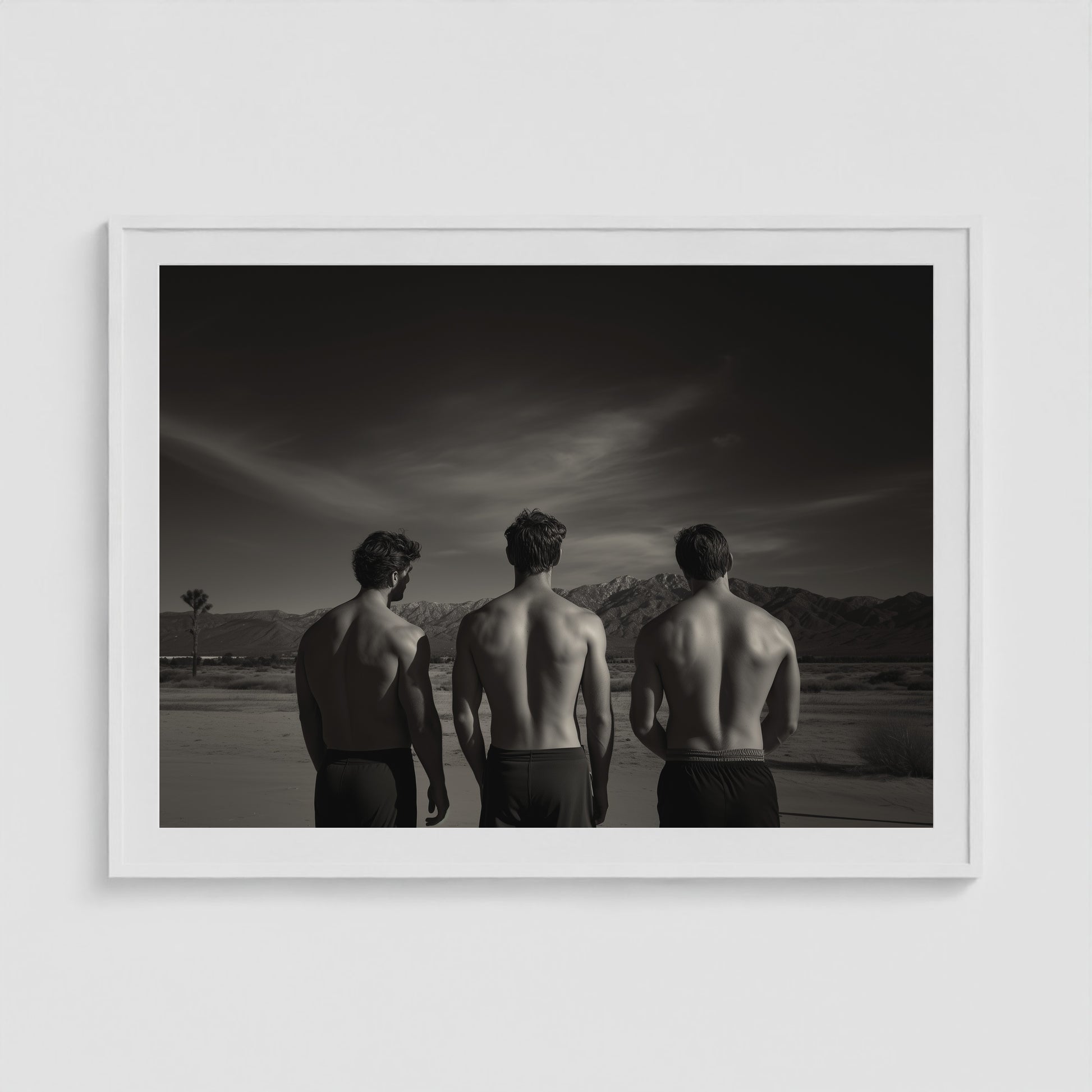 Desert Trio 48x36 White Landscape Box Frame