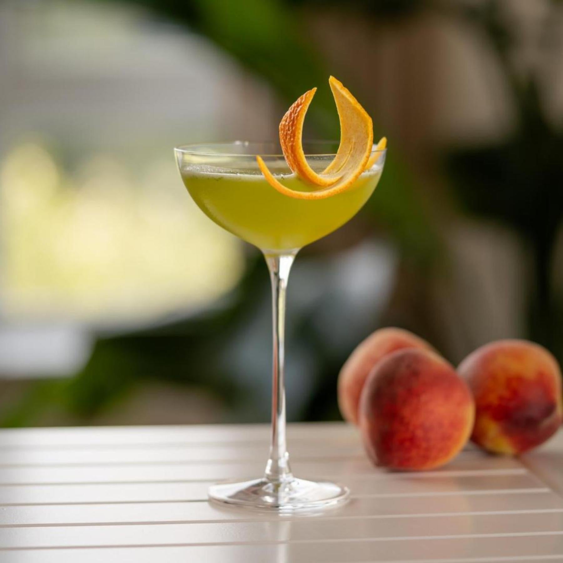 Alternate view of Hepburn Set of 2 Coupe Glasses | Provenance & Patina