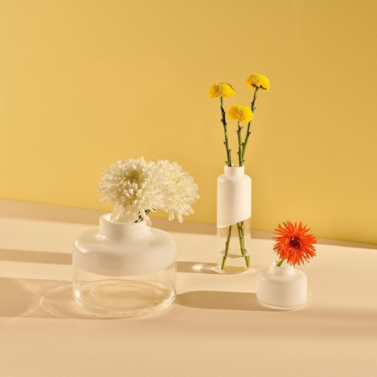 A curated trio of Magnolia glass vases in various sizes arranged together on a polished surface.