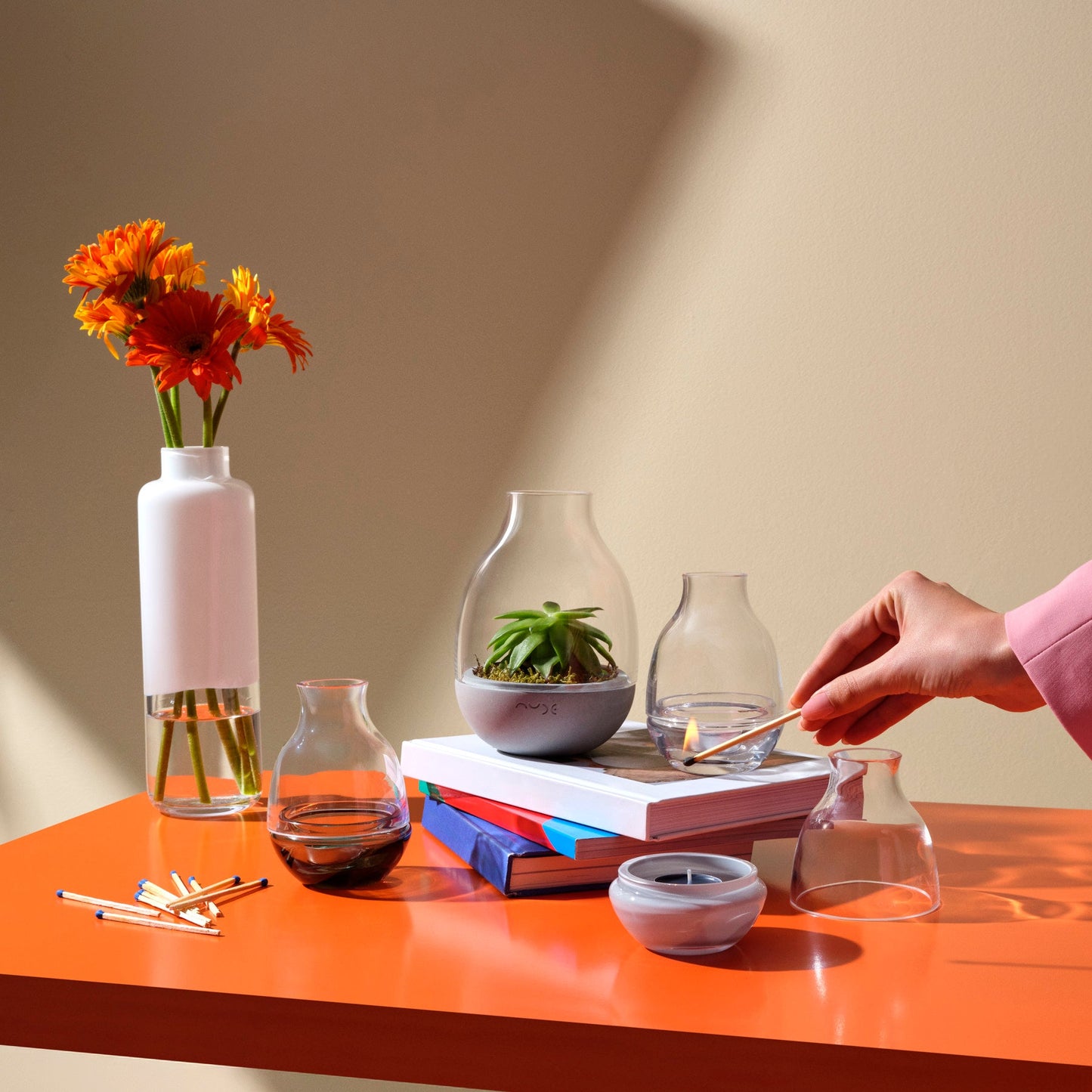 Lifestyle view of Eden Mini Terrarium Clear with Moulded | Provenance & Patina