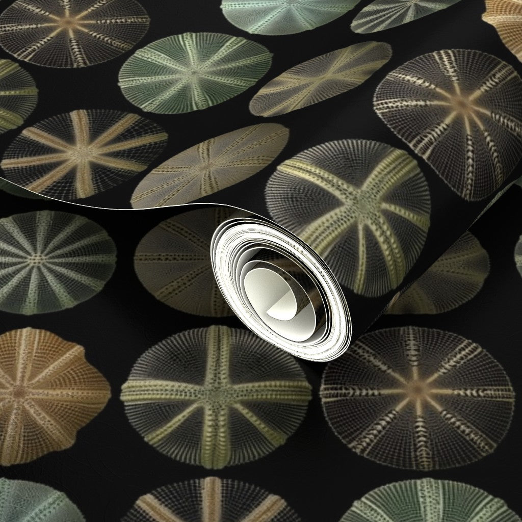 Luminous metallic finish on the Sea Urchin Study wallpaper reflecting light.