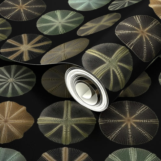 Luminous metallic finish on the Sea Urchin Study wallpaper reflecting light.