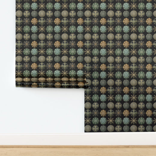 Sea Urchin Study design on a pearlescent metallic wallpaper substrate.