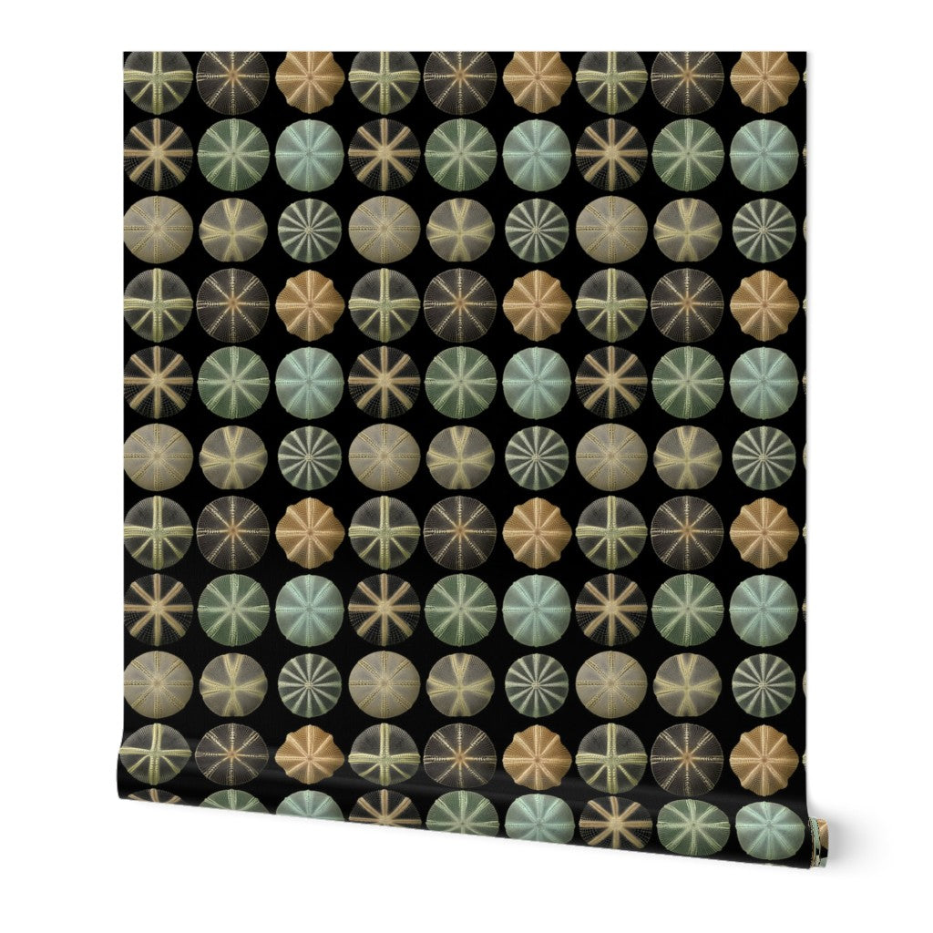 Sea Urchin Study wallpaper in Midnight on premium non-pasted matte paper.