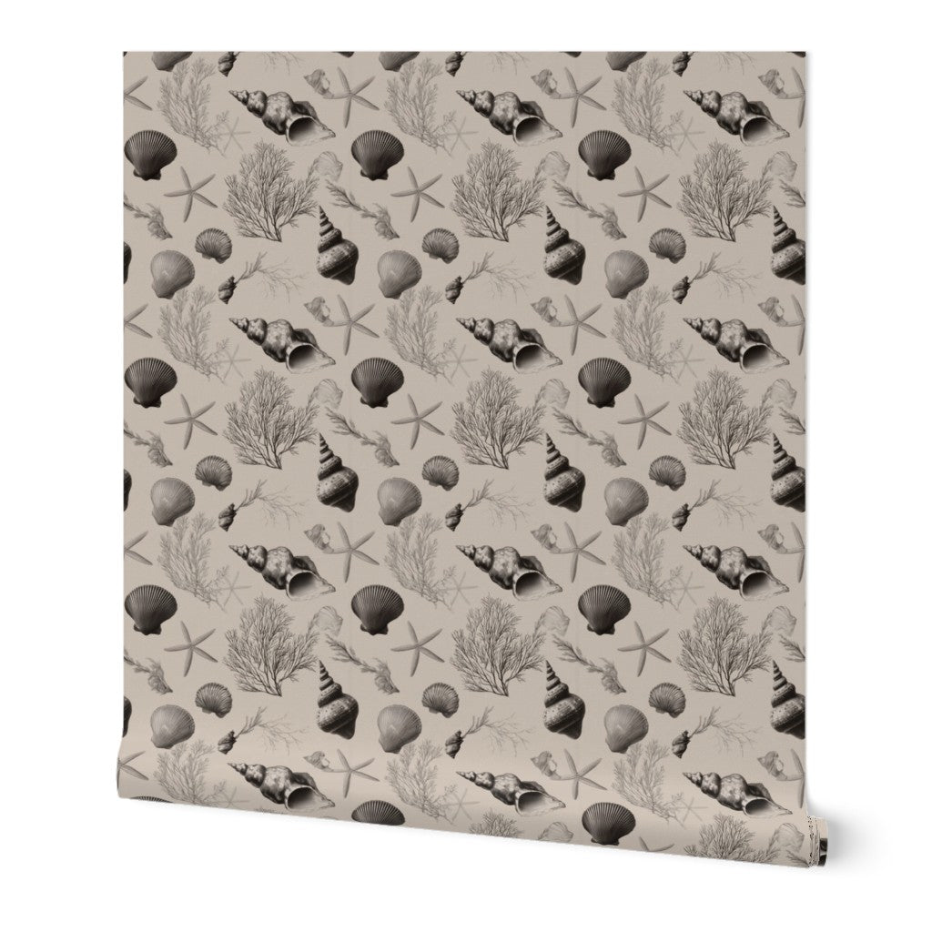 Sanibel non-pasted wallpaper in taupe showing the vintage coastal shell pattern.