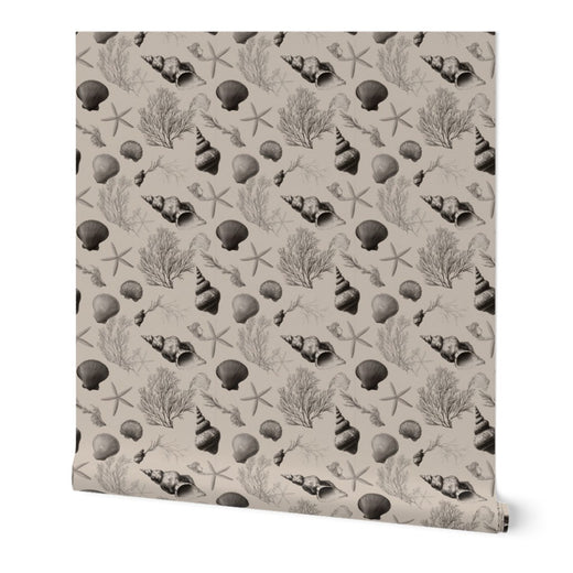Sanibel non-pasted wallpaper in taupe showing the vintage coastal shell pattern.