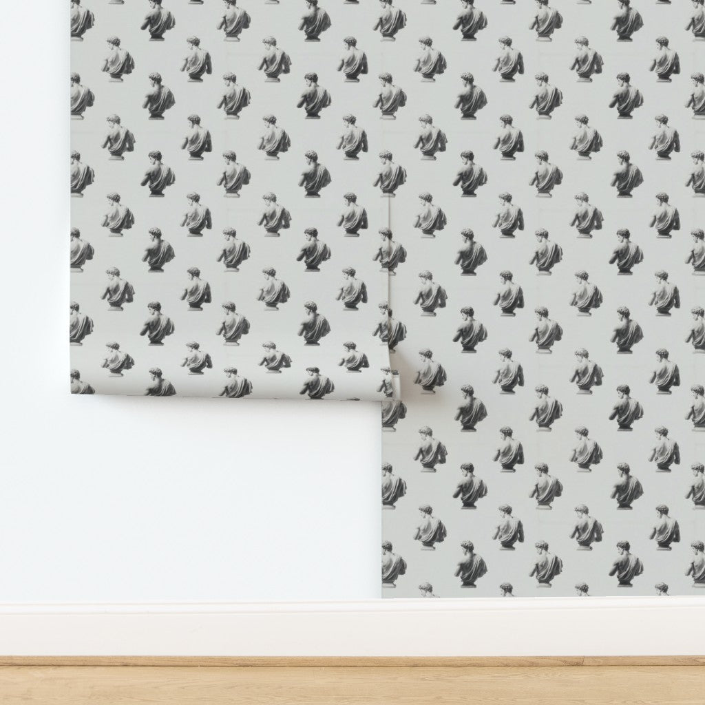 Apollo wallpaper in non-pasted matte finish showcasing intricate classical motifs