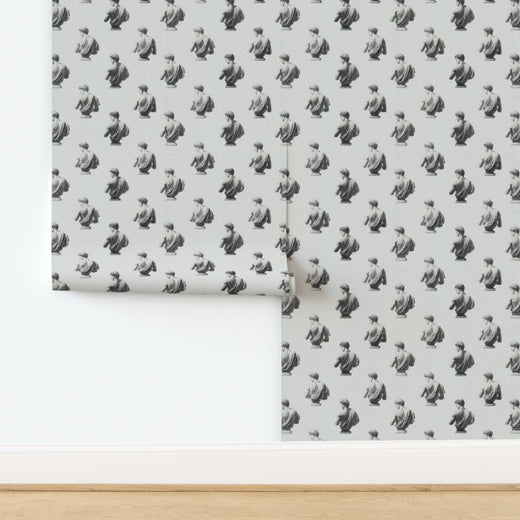 Apollo wallpaper in non-pasted matte finish showcasing intricate classical motifs