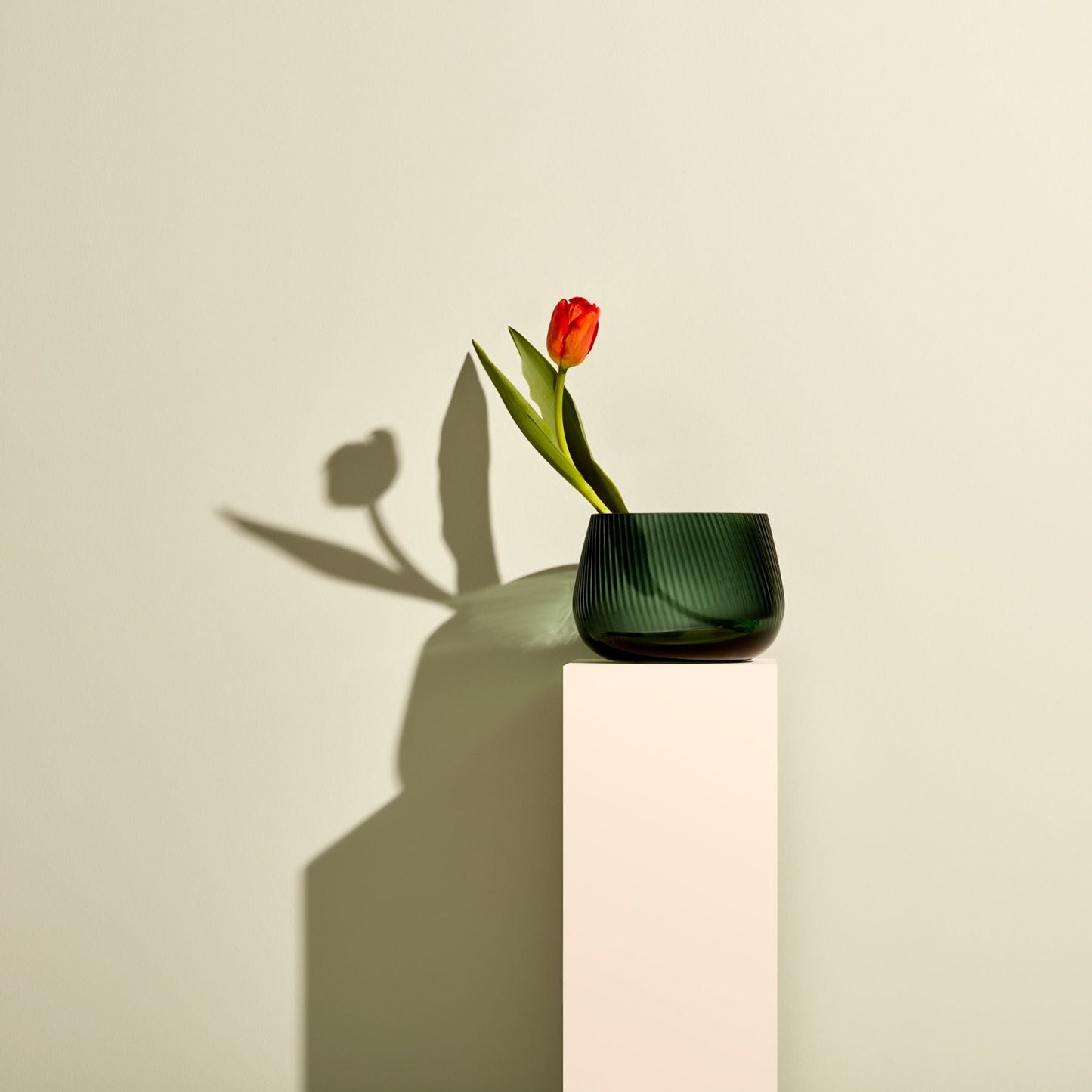 Detailed view of the textured vertical ridges of the contemporary crystal Opti vase
