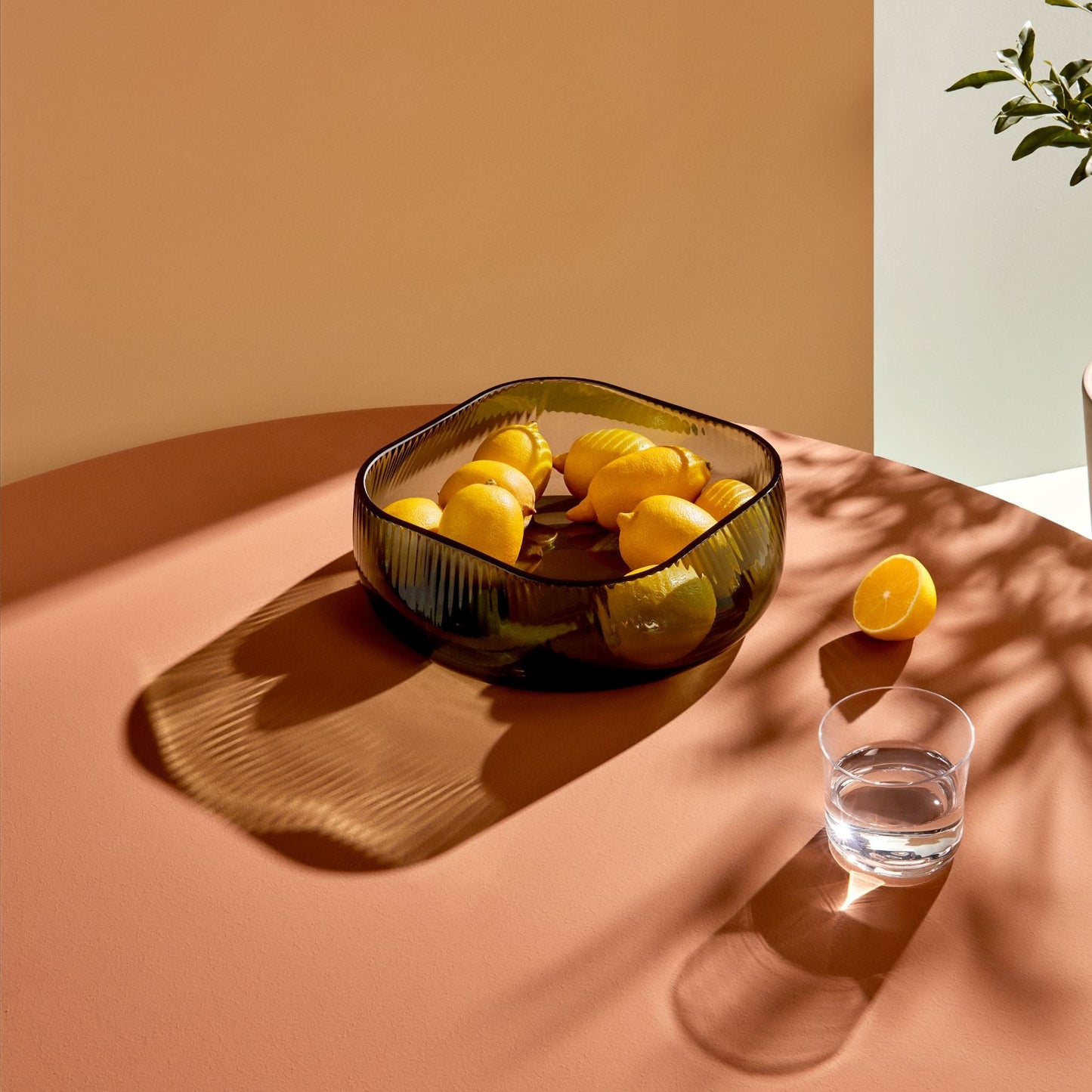 Elegant modernist crystal centerpiece bowl styled in a contemporary home setting