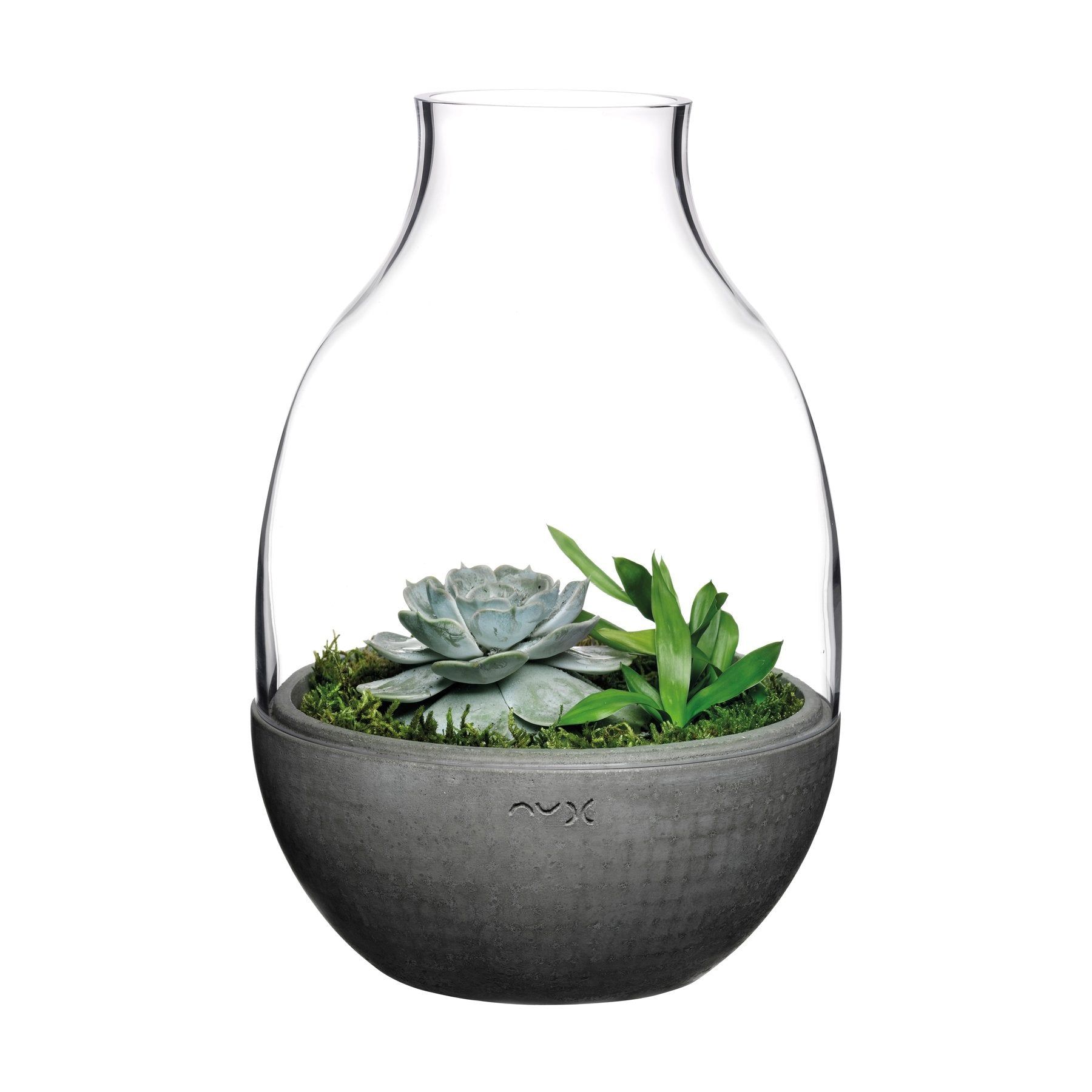 Alternate view of Eden Terrarium Clear with Moulded Concrete | Provenance & Patina
