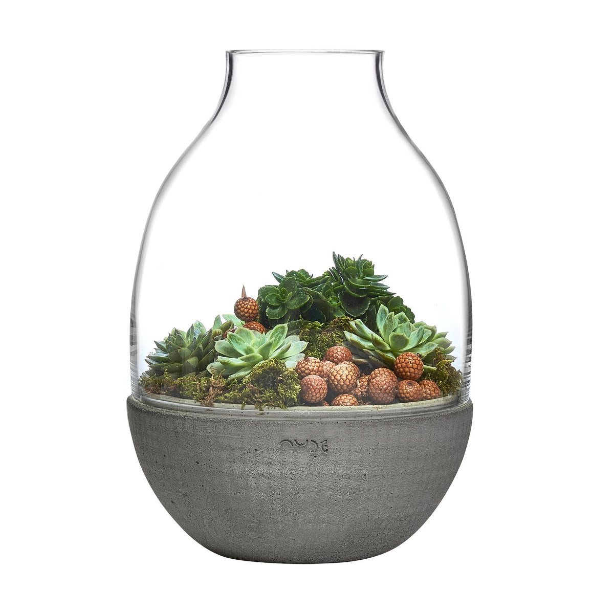 Close up detail of Eden Terrarium Clear with Moulded Concrete | Provenance & Patina