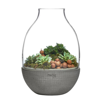 Close up detail of Eden Terrarium Clear with Moulded Concrete | Provenance & Patina
