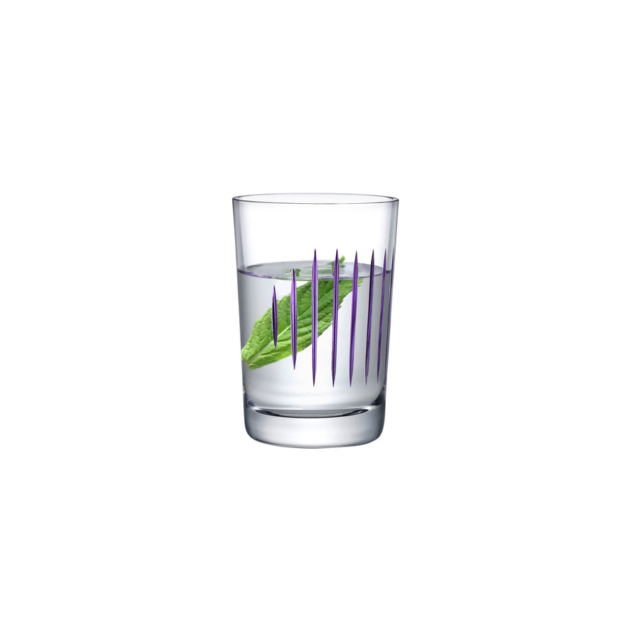 Product shot of Parrot Set of 2 Water Glasses | Provenance & Patina