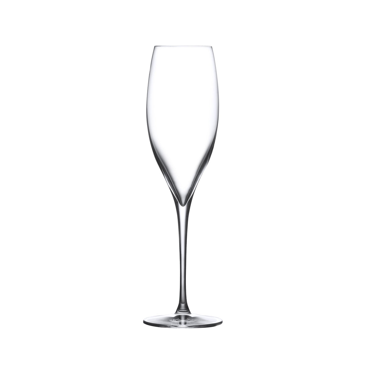 A single NUDE Glass Terroir crystal champagne flute detailing the tapered bowl and slender stem.